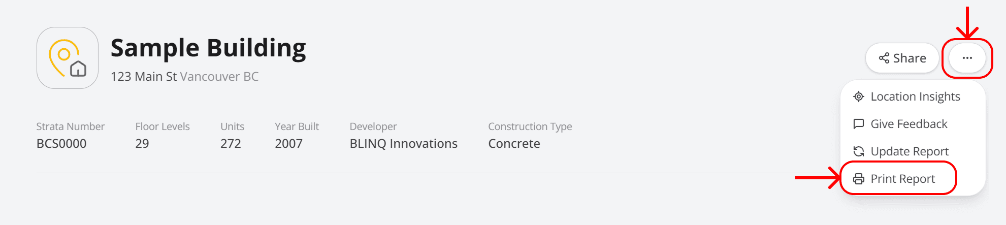 Three-dot menu in the report viewer with red highlight